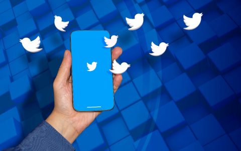 Twitter 可以将每个帐户链接到闪电网络