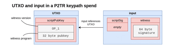这些 Taproot 地址拥有任何人都可以使用的比特币