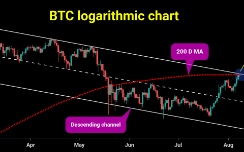 BTC 每周视图 [价格分析]