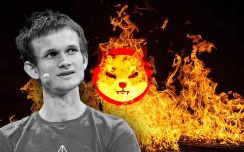 Vitalik 捐赠的 Shiba(SHIB) 代币变成了 Snake Story