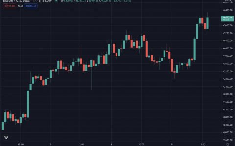 随着加密货币成为主流政治，比特币跃升