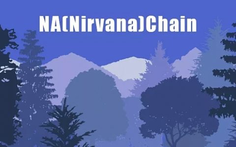 从华尔街到DeFi：NA（Nirvana）Chain以隐私保护基础设施隔绝黑暗森林的蔓延