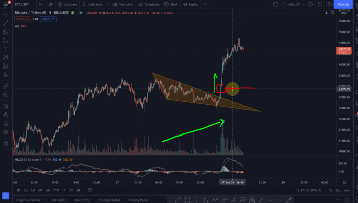 11MfYV46px_DjkPMphPm8pg-1