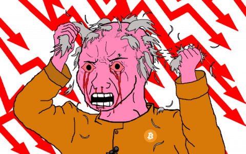 如何在加密货币中赔钱（快速）