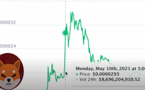 柴犬硬币的真相你现在应该购买 SHIB 币吗