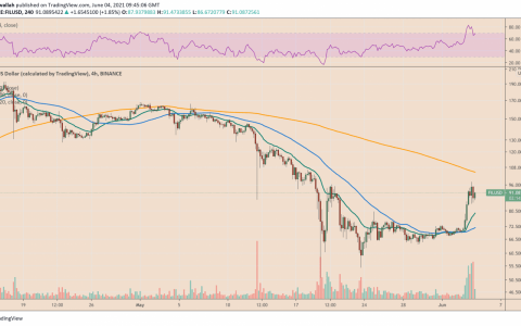 Filecoin 忽略了 Elon Musk 的比特币 FUD，因为 FIL 价格飙升了 17%