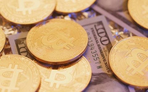 果壳专栏| 一场不得不的赛局比特币拟成法定货币