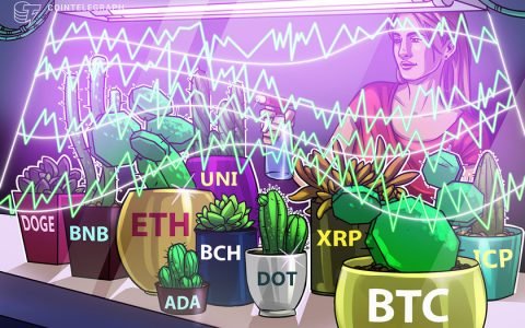 价格分析 6/7：BTC、ETH、BNB、ADA、DOGE、XRP、DOT、UNI、ICP、BCH