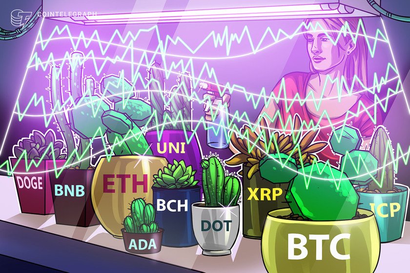 价格分析 6/7：BTC、ETH、BNB、ADA、DOGE、XRP、DOT、UNI、ICP、BCH