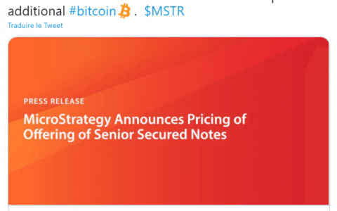 MicroStrategy 被疯狂的贷方困扰——5 亿美元押注比特币？