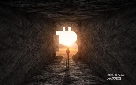 狗狗币、口袋妖怪和巨型香蕉：加拿大总理的兄弟背弃比特币并陷入困境