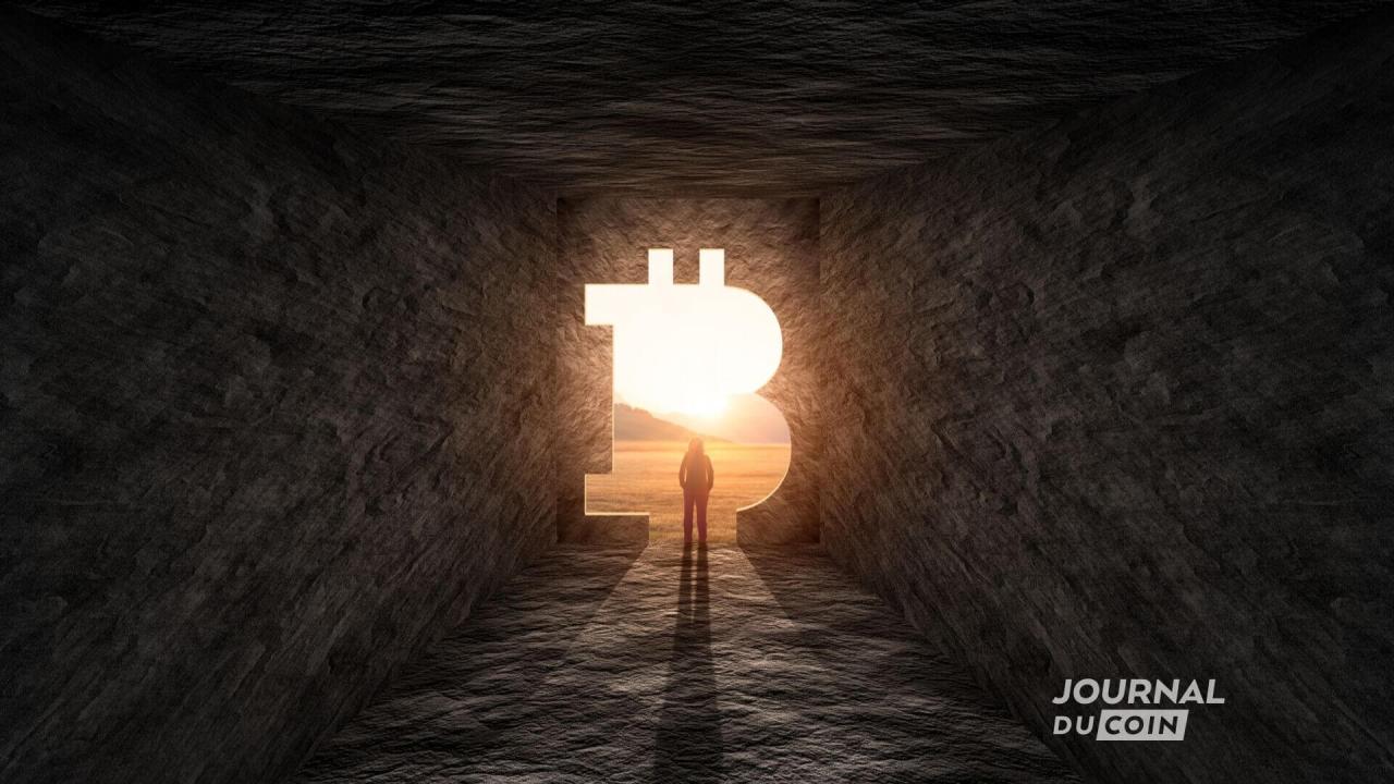 狗狗币、口袋妖怪和巨型香蕉：加拿大总理的兄弟背弃比特币并陷入困境