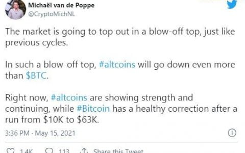 2021 年山寨币季节可能很快结束，著名分析师 Michael van de Poppe