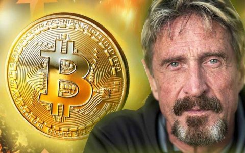 John McAfee 加密货币亏光光狱中吐苦水：「我一无所有」