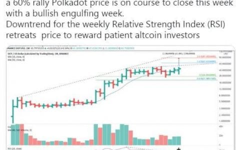 Polkadot 价格冲破新 新高，2021 年牛市 DOT 价格将上涨多高？