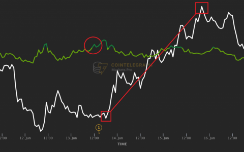 智能加密货币交易者如何抓住 48% 的价格暴涨