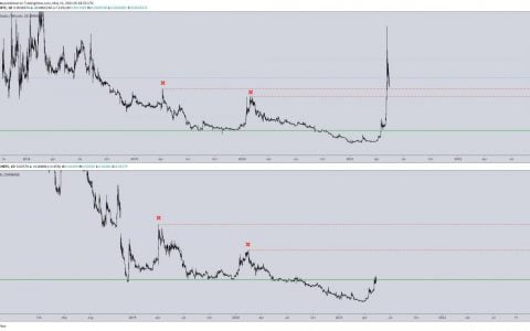著名分析师上架了 7 种在市场调整中可能上涨的山寨币