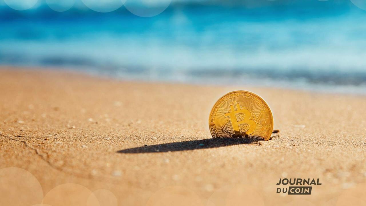 借助某些独家交易工具，FTX 平台让你可以安心投资并产生利润