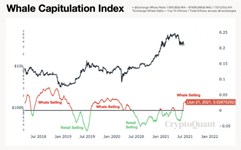 2021 年 1 月 22 日的比特币 (BTC) 价格 – 跌破 30,000 美元后强劲反弹