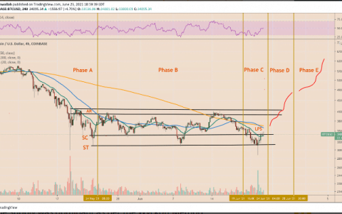 2021 年 6 月 23 日的 BTC 价格 – 揭示比特币未来的百年模型