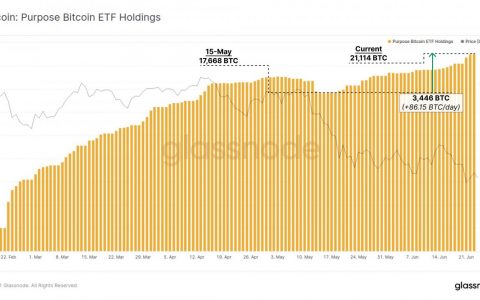 全球首个比特币 ETF 在 BTC 价格下跌期间每天增加 300 万美元