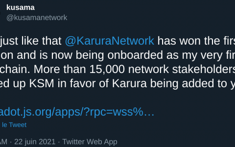 DeFi Karura (Polkadot)项目赢得业界最令人垂涎的拍卖