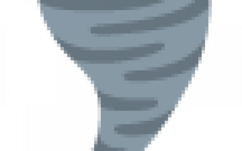 「女股神」加入比特币ETF 战局方舟投资携21Shares 递件申请