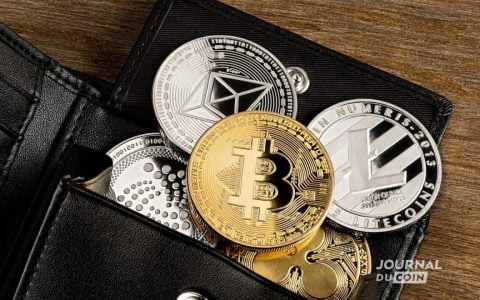 Crypto.com 及其商业服务：所有比特币钱包现在都可以与 Crypto.com Pay 进行交互