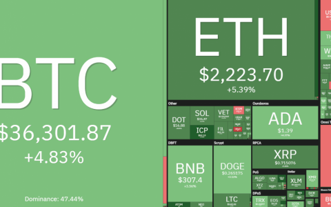 随着比特币价格接近 37,000 美元，山寨币获得两位数的收益
