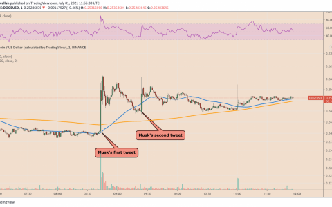 埃隆马斯克最近一次尝试抽狗狗币失败了