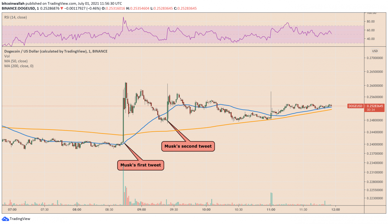 埃隆马斯克最近一次尝试抽狗狗币失败了