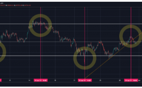 BTC 价格 2021 年 6 月 30 日 – 购买比特币的战略日