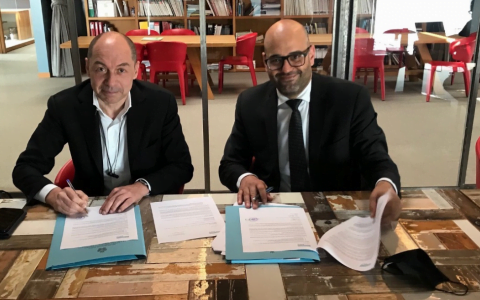 针对 COVID-19 和 NFT 的疫苗接种，但什么报告？ 唯链奇怪的区块链项目（VET）