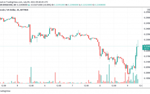 在埃隆马斯克表示 DOGE 支付与比特币、以太坊竞争后，狗狗币上涨了 8%