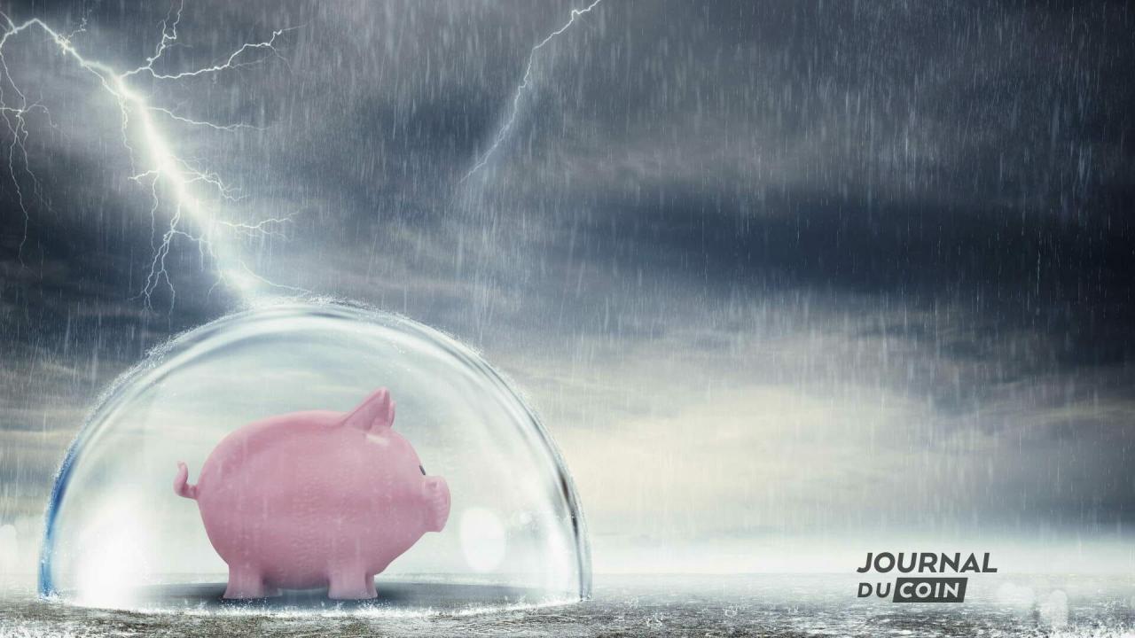 多元化是关键词：如何在波动性和资本保护之间导航？