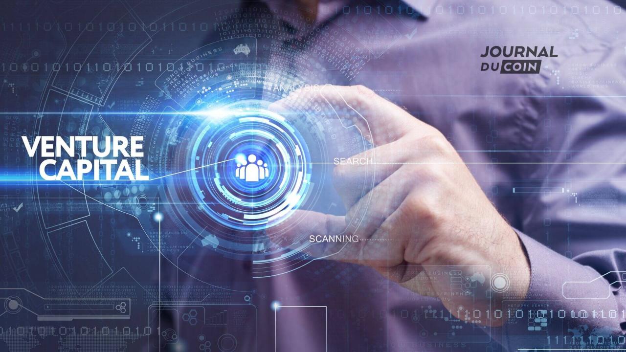 多元化是关键词：如何在波动性和资本保护之间导航？