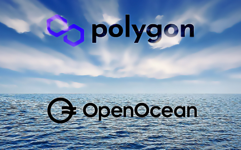 OpenOcean 连接到 Polygon区块链