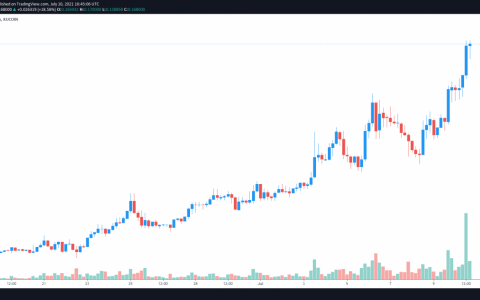 星座（DAG）价格本周跑赢大多数山寨币的三个原因