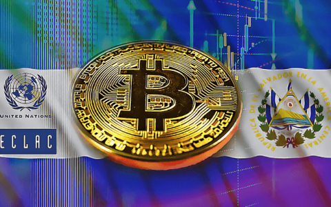 联合国委员会就比特币采用后的风险向萨尔瓦多发出警告 -CoinQuora