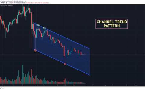 恒星币价格预测 – XLM 会在 2021 年达到 0.5 美元吗？