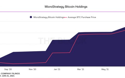 比特币，这头华尔街之狼存在的理由：这些疯狂的投机者在 5 亿美元上下了巨额质押
