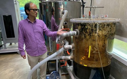 将粪便转化为加密货币：魔法石 2.0