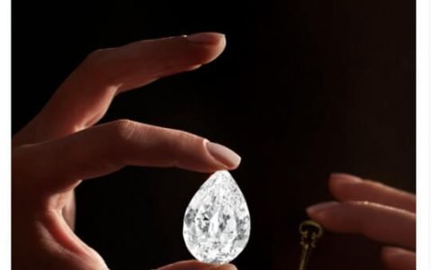 历史：谁为一颗巨大的钻石支付了 1200 万美元的加密货币？