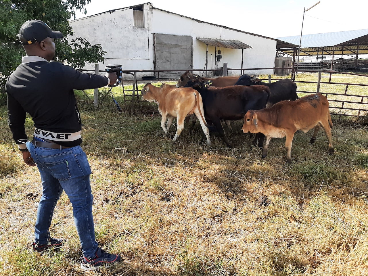 区块链可追溯性为农民提供竞争优势