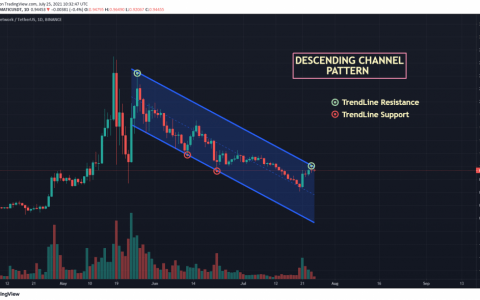 Matic（Polygon）2021 年价格预测 — MATIC 会在 2021 年达到 5 美元吗？