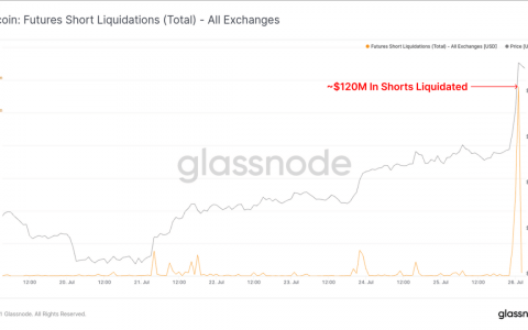 比特币是 20,000 美元还是 90,000 美元？ 下注