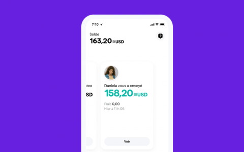 Facebook 上的比特币还是 NFT？ 社交网络做出了激进的选择