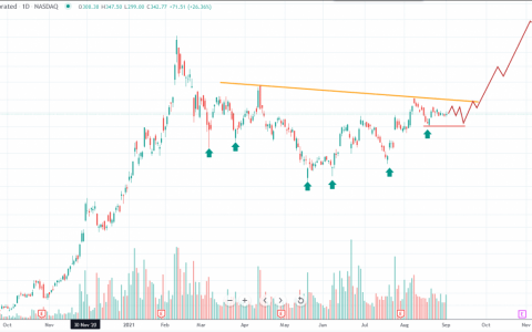 MicroStrategy 股票因 MSTR 成为机构投资者的比特币“代理”而看涨