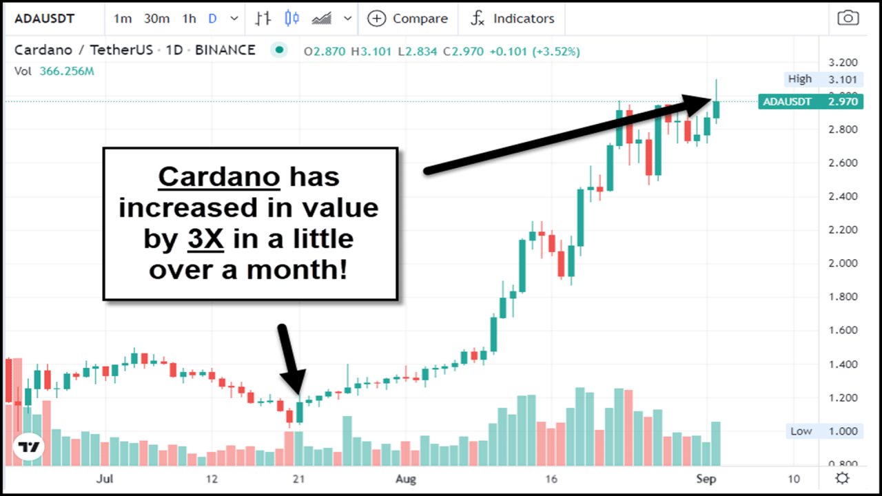 比特币有清晰的路径达到 52,000 美元，而在 新高 附近选择替代币
