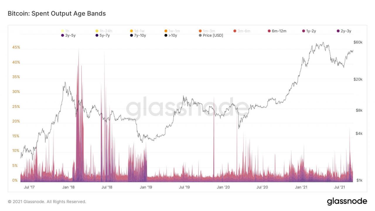 持有者不会清算他们的比特币，从而使死猫的反弹故事无效。